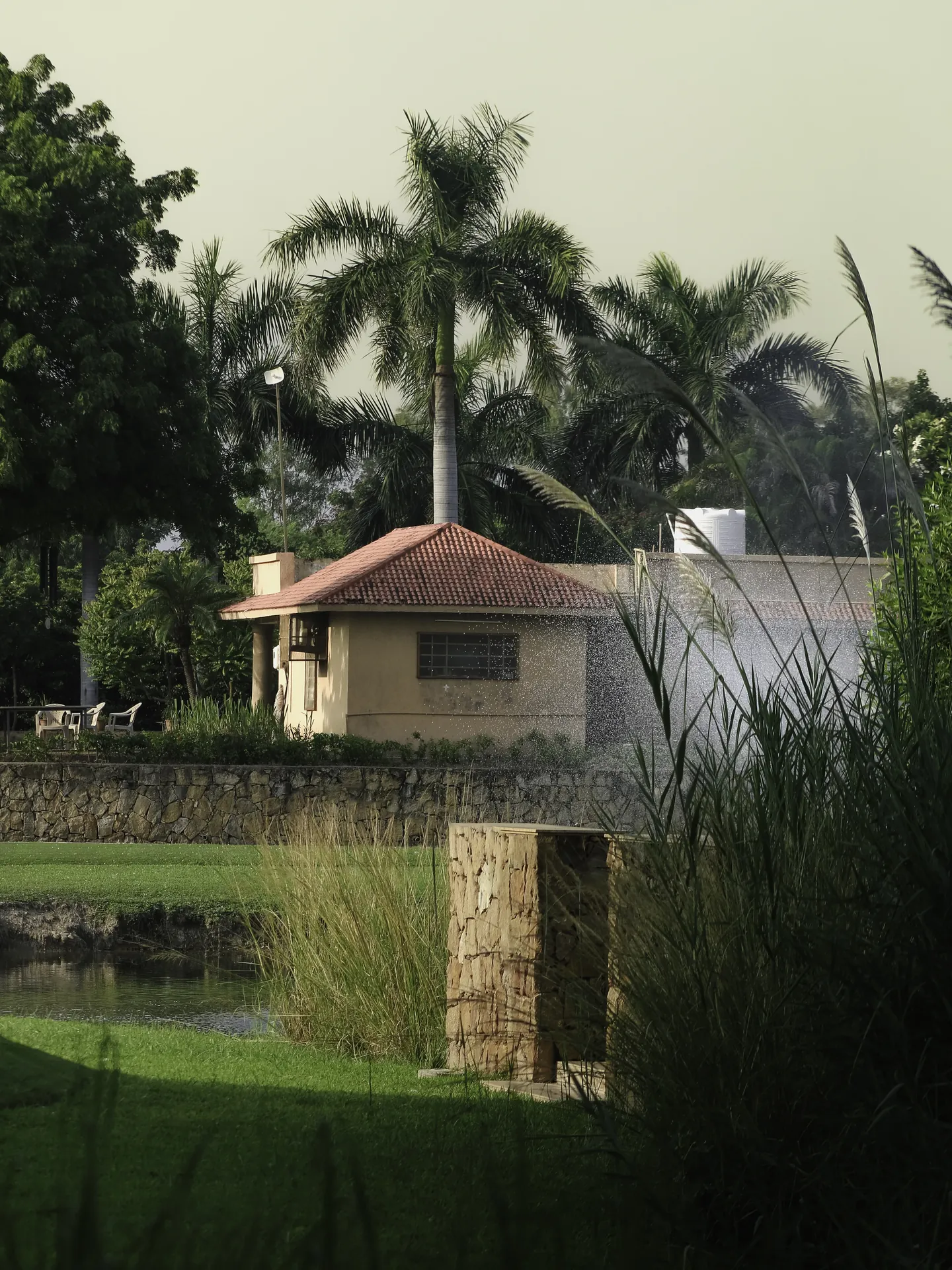 Suryam Repose